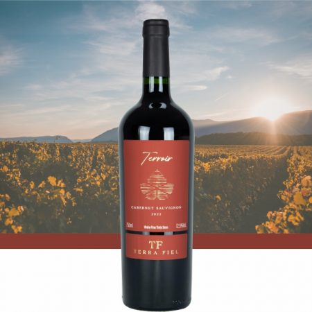 Vinho Tinto Seco Carbernet Sauvignon Terroir - Terra Fiel